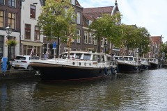 DSC_1260